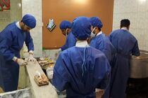 توزیع ۲۴۵۰ پرس غذا توسط خیرین در امامزاده ابراهیم اصفهان