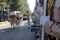 پیکر مطهر مرزبان شهید هرمزگانی امروز در بندرعباس تشییع می شود