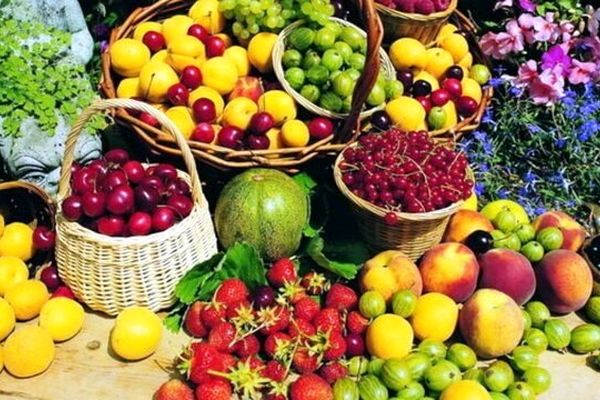 سالانه 171 هزار تن محصول زراعی و باغی در محمودآباد تولید می شود