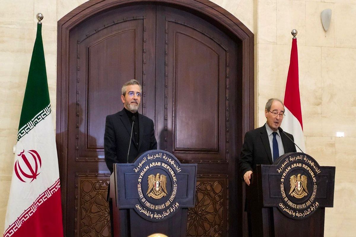 باقری‌کنی در نشست خبری مشترک با وزیر خارجه سوریه