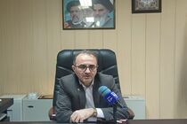 در سال جاری ۹۶ درصد از دام های استان ایلام واکسینه شدند