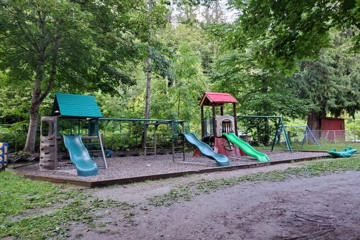 افتتاح پارک