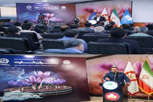 رونمایی از طرح بزرگ «زعفران کارت»
