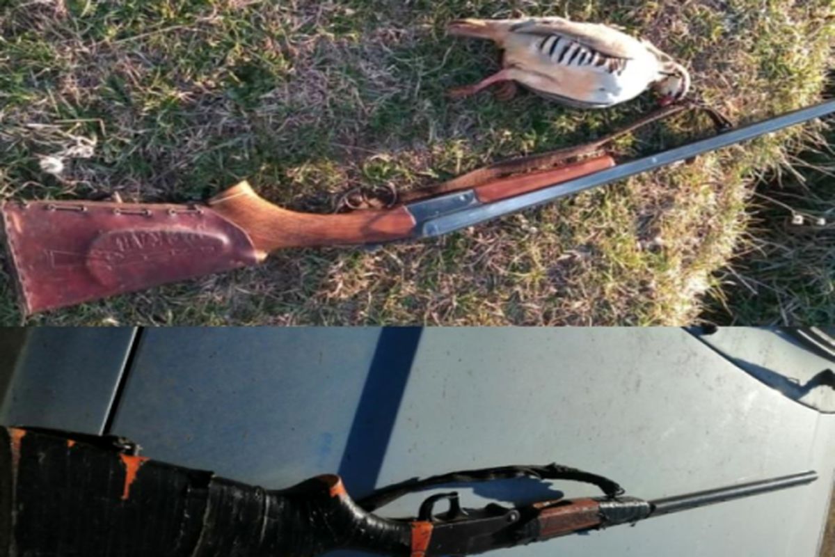 شکارچیان متخلف