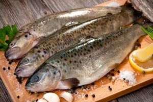 سرانه مصرف ماهی در بروجرد 7 کیلوگرم است