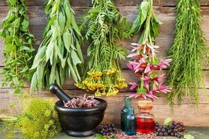 رفع بوی دهان با چند راهکار طبیعی
