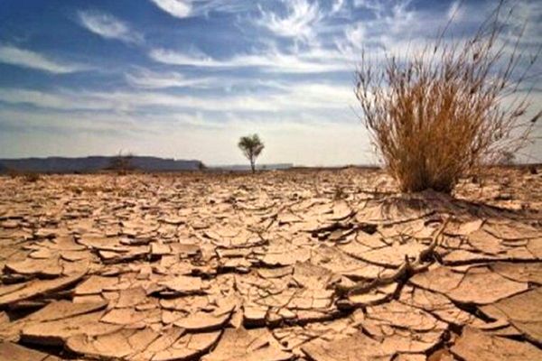 ۱۴ میلیون هکتار از اراضی کشور در معرض بیابان‌زایی هستند