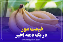 اینفو گرافیک/قیمت موز در یک دهه اخیر
