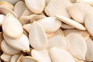 کشف 400 کیلو تخمه کدو غیر قابل مصرف در نجف آباد