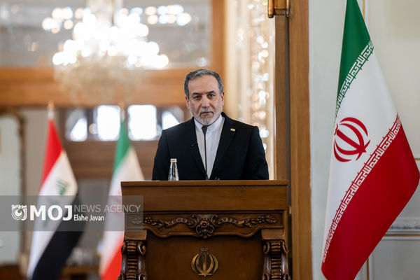 مسائل داخلی اخیر ایران را برای وزیر خارجه عراق تبیین کردم/تاکید تهران و بغداد بر حفظ صلح و ثبات منطقه