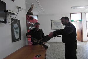 تحویل یک بهله عقاب به اداره محیط زیست شهرستان لنگرود