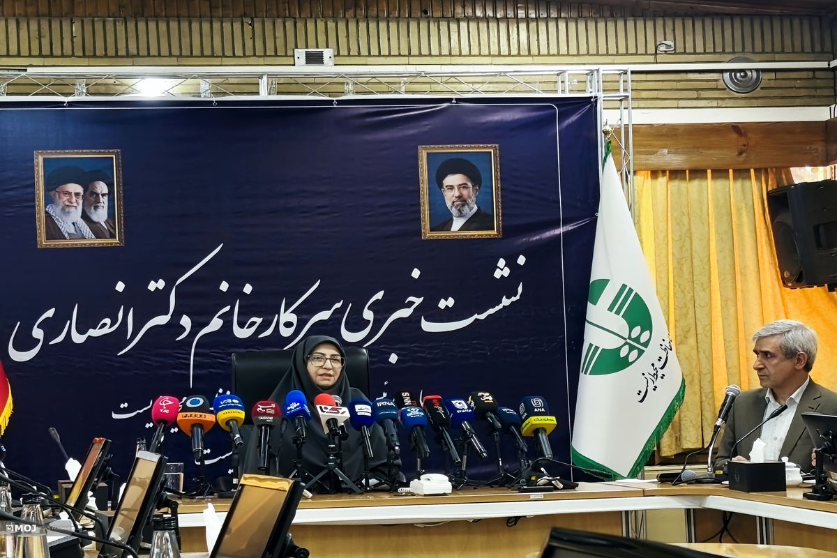 سینا انصاری