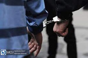 اعتراف به ۲۱ فقره سرقت در سنندج