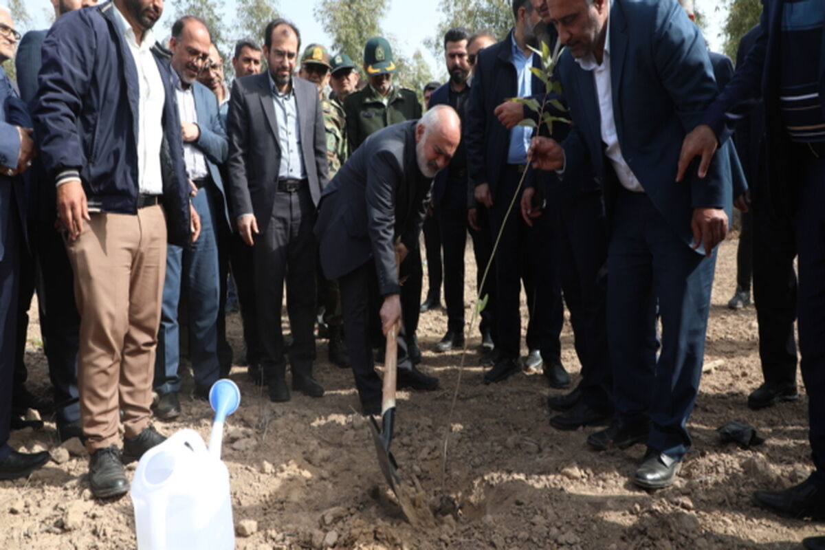 درختکاری 