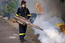 آماده باش شهرداری بندرعباس برای مقابله با پشه آئدس