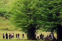 مراقبت از اراضى ملى و منابع طبیعی تعطیلی ندارد