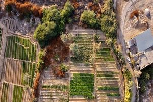  اقدامی پیرامون تغییر کاربری باغ تاریخی بندرعباس صورت نگرفته است 