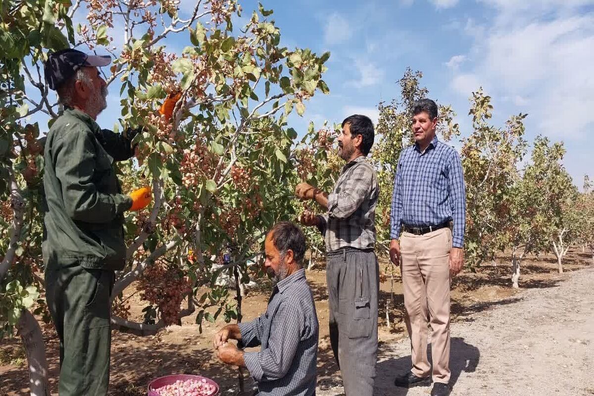 جهاد کشاورزی آذربایجان شرقی 