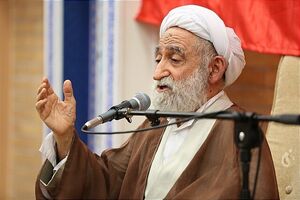 آیت الله صافی از حامیان نظام اسلامی بود
