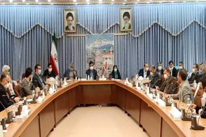 عرضه فرش نیازمند ورود به بازارهای مجازی و نوین است