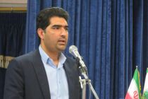 بهره برداری و آغاز عملیات اجرایی ۵۷ پروژه منابع طبیعی جنوب کرمان در هفته منابع طبیعی