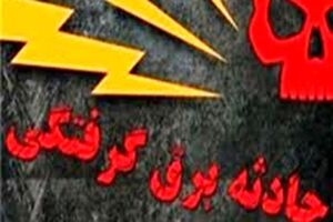 فوت ۹ نفر بر اثر برق گرفتگی در هفت ماهه سال جاری