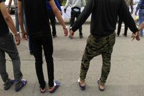 سارقان اخاذ خودرو در شیراز به آخر خط رسیدند