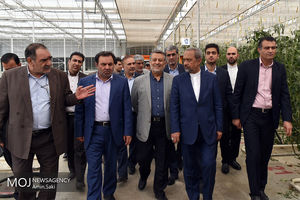 سفر معاون اقتصادی رییس جمهوری به لرستان