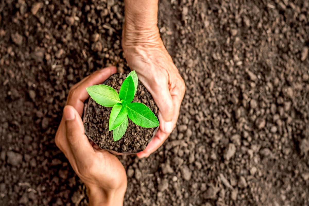 نمایشگاه کشاورزی 