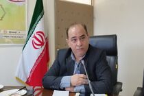 برنامه‌ ریزی کشت ۶ میلیون هکتار گندم در کشور
