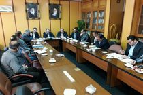 تولید کالای ایرانی با مارک خارجی تخلف است