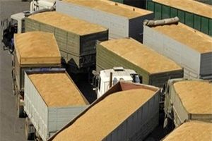 قاچاق خاک ایران به قطر صحت ندارد/ نسبت به خاکمان عِرق داریم و چرا باید آن را بفروشیم