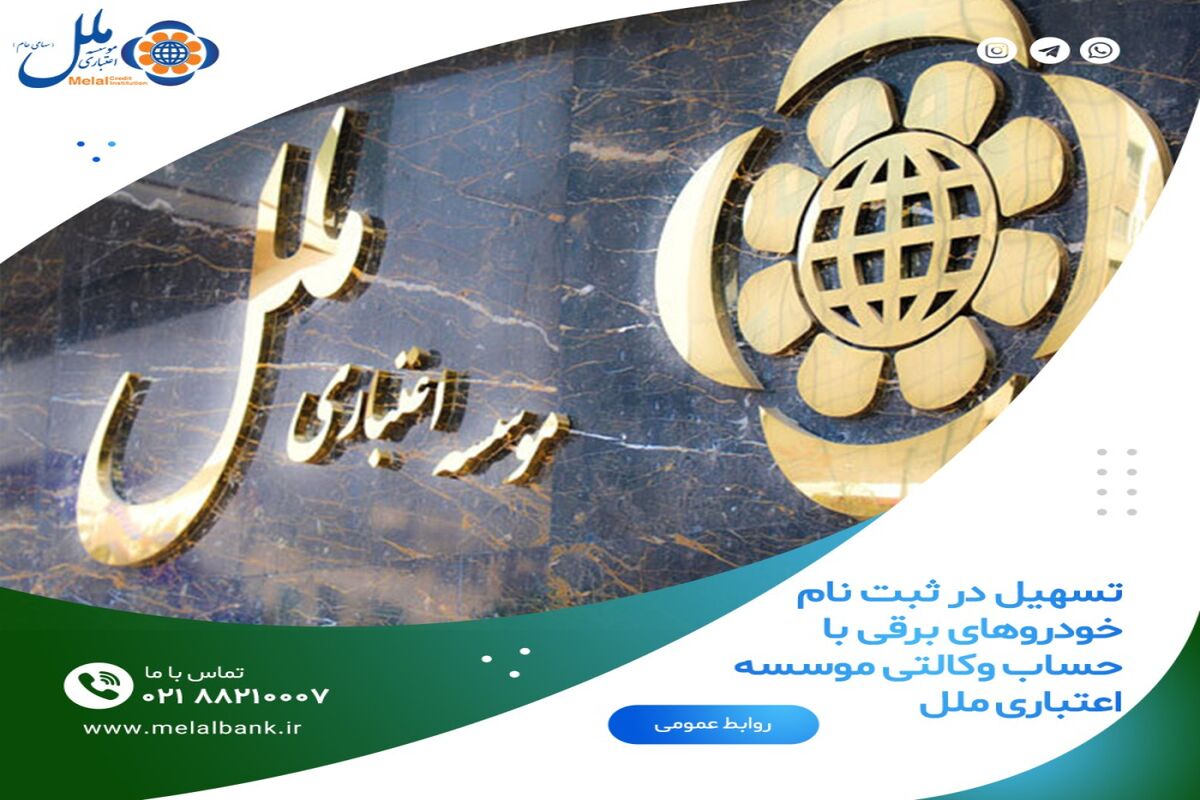 موسسه اعتباری ملل