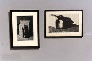 آثار تجربی دهه شصتی و هفتادی با موضوع طراحی فیگوراتیو 