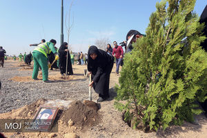 کاشت درخت ایثار