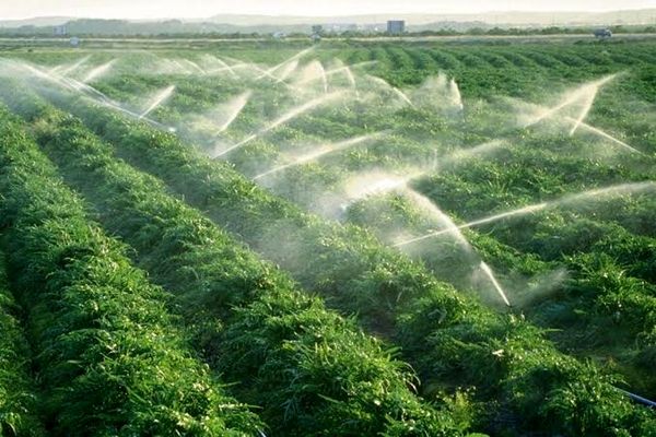 امنیت غذایی بدون تأمین پایدار انرژی قابل حفظ نیست