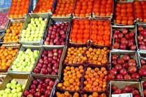 تصفیه‌خانه میدان مرکزی میوه و تره بار شهرداری بازطراحی و راه اندازی می‌شود