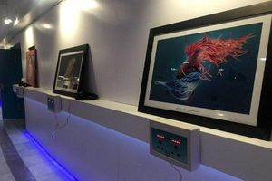 اولین نگارخانه دیجیتال غرب کشور در کرمانشاه دایر شد