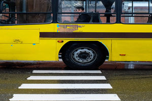 سرویس‌دهی 380 دستگاه اتوبوس به شهروندان در روز طبیعت