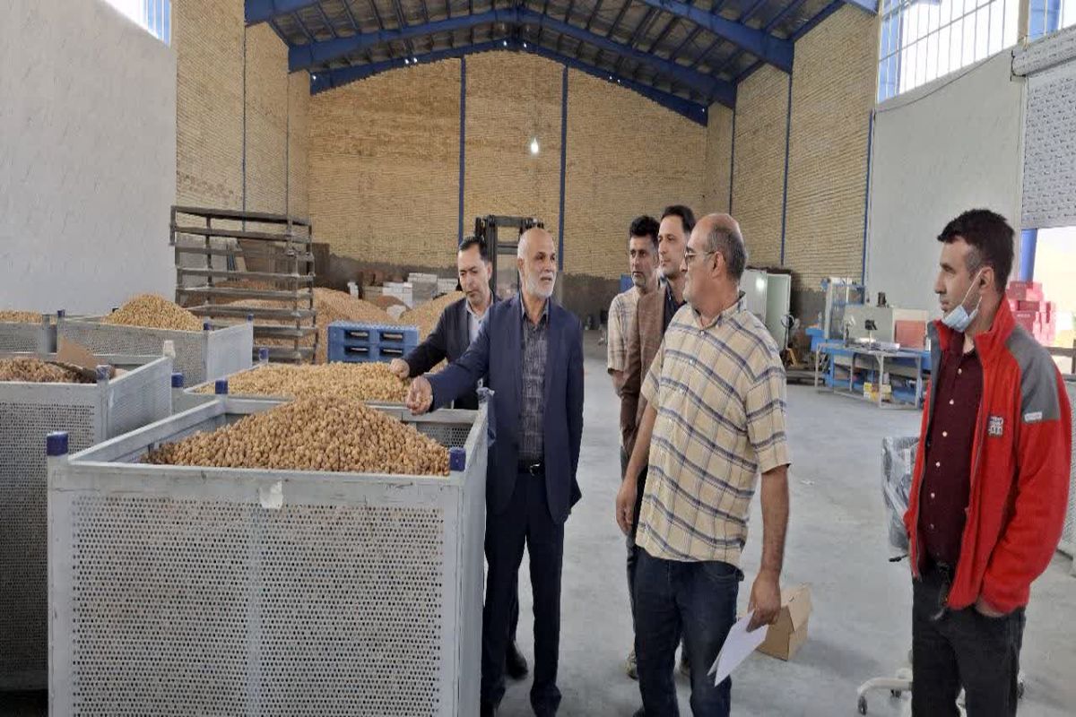 شهرک صنعتی فارس 