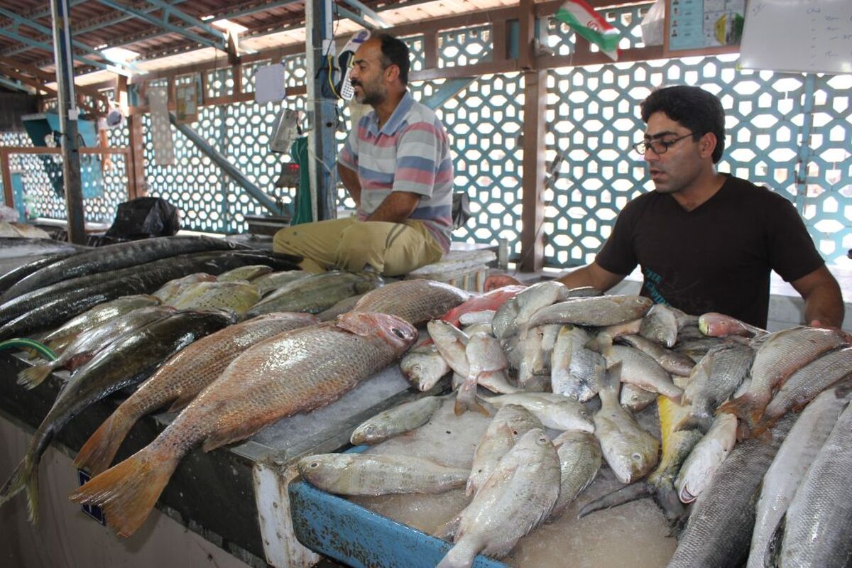 قیمت ماهی در بازار بندرعباس