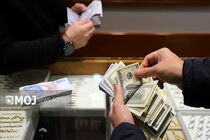 جدیدترین قیمت ارزها در بازار آزاد امروز ۱۴ مهر ۱۴۰۴