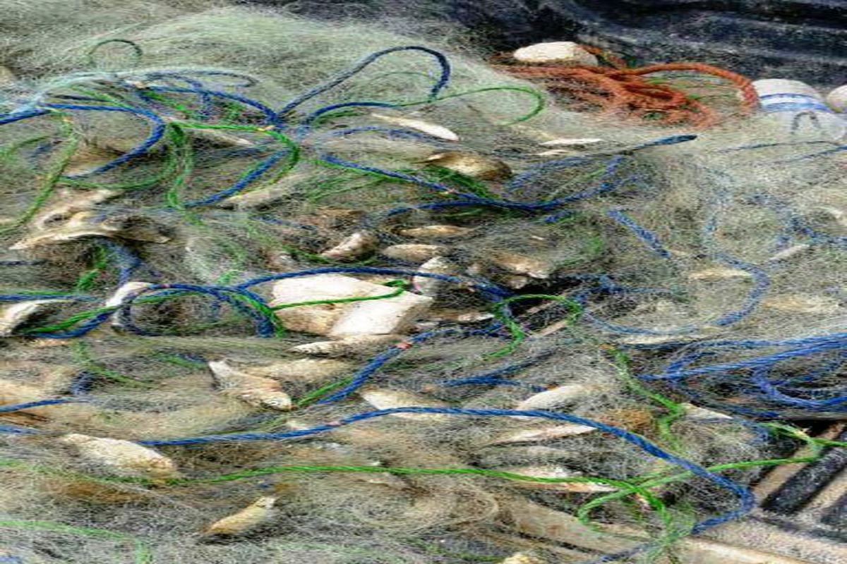 اصفهان- محیط زیست