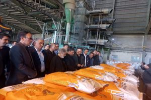 شرکت را در وضعیت بحرانی تحویل گرفتیم / اجرای طرح‌های توسعه‌ای برای احیای مجموعه