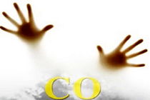 امسال قربانیان مرگ خاموش در استان اردبیل افزایش یافته است/ لزوم توجه جدی به موارد ایمنی در منازل