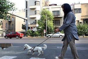 ممنوعیت سگ گردانی در فریدونشهر
