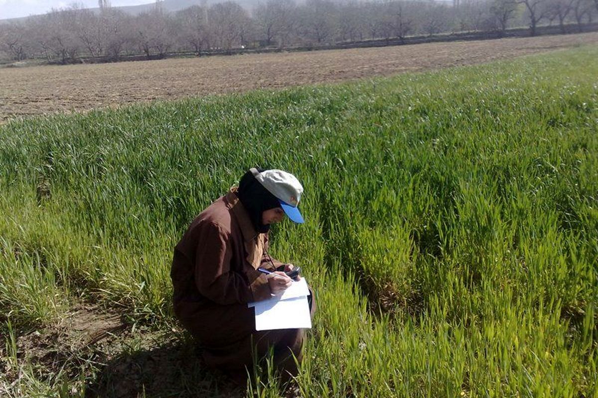 دانش آموخته کشاورزی