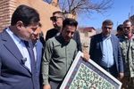 معاون رئیس‌جمهور از روستای سیه‌بنوئیه رابر و یک اقامتگاه بومگردی بازدید گرد