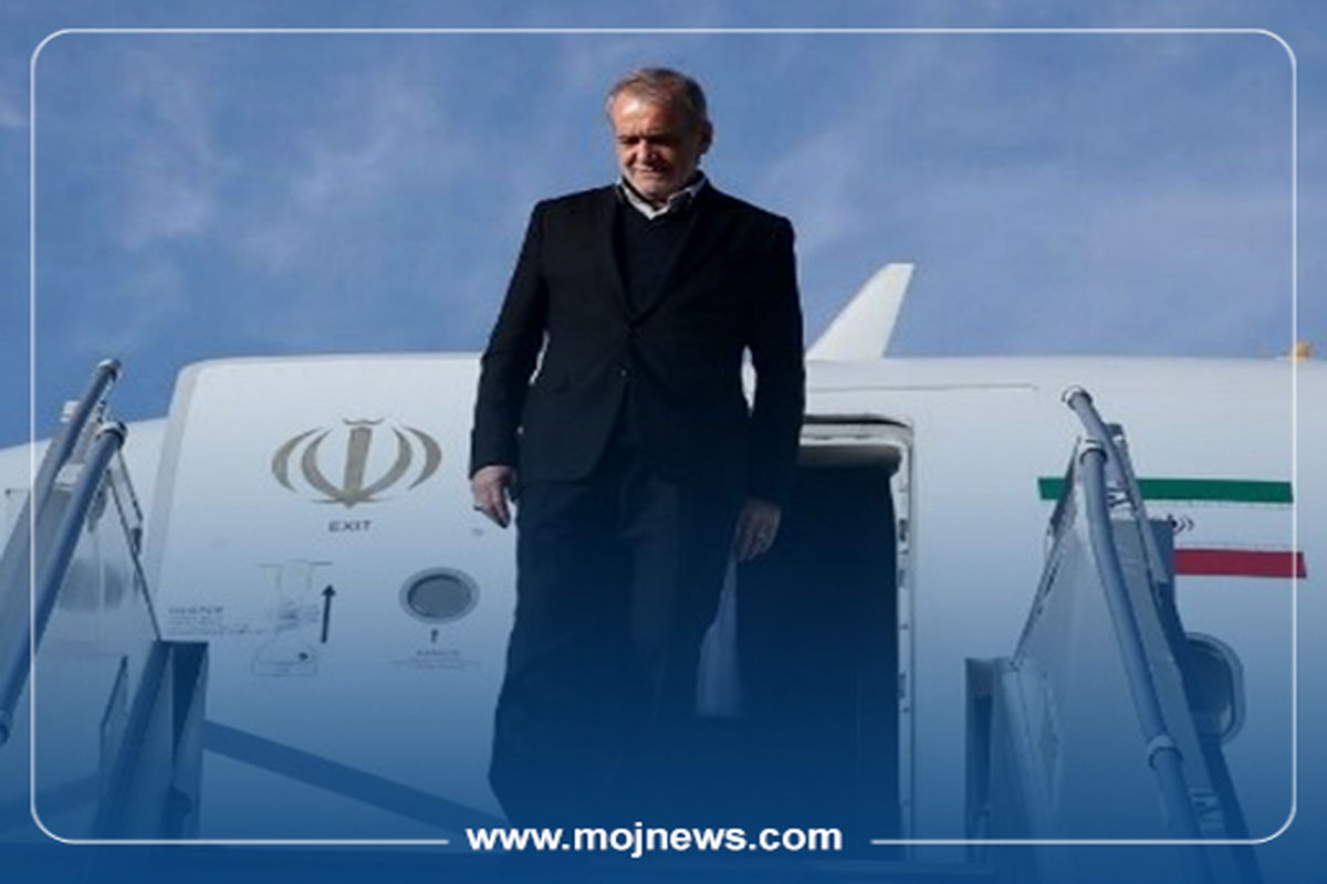 کاور اینفو2 copy47