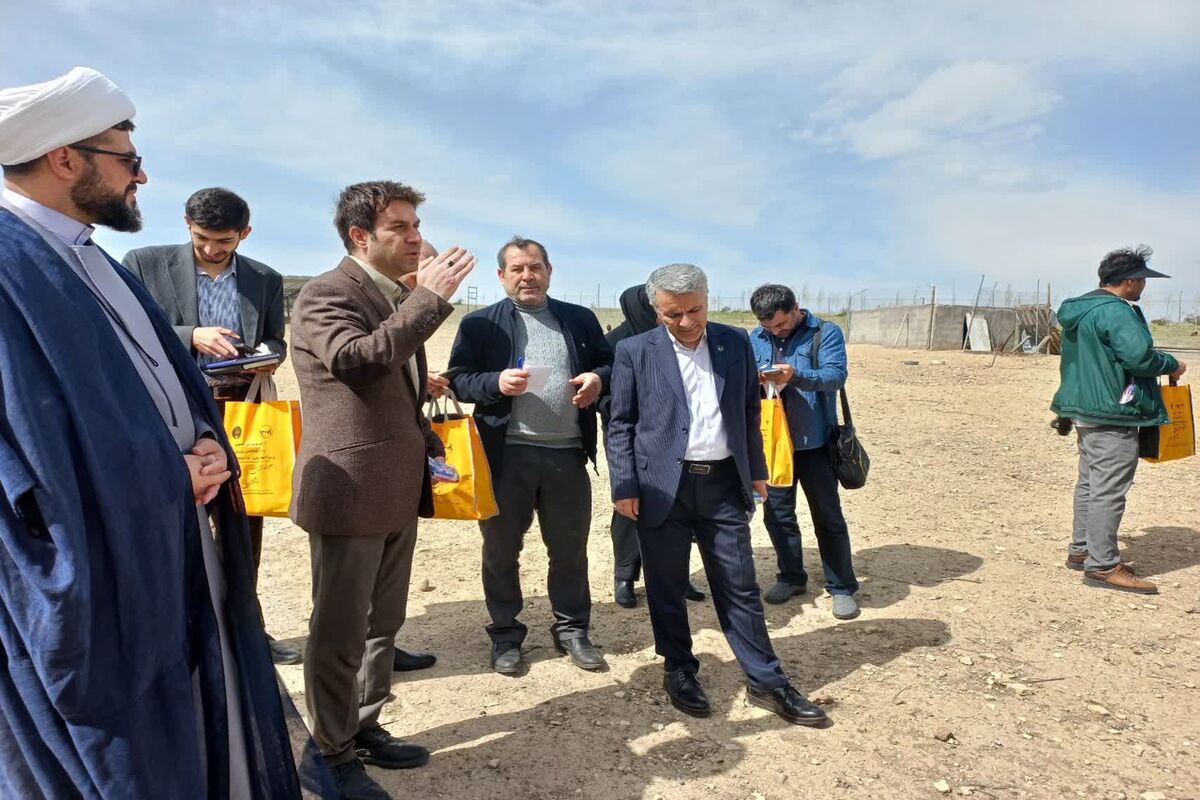 فرشید شالچیان